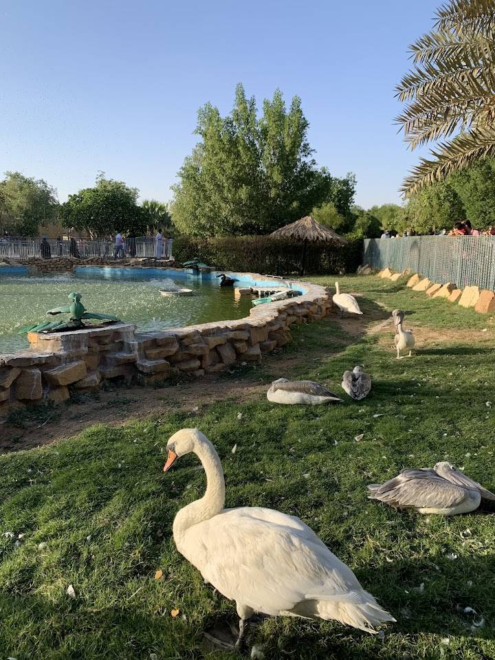 عنوان حديقة حيوان الملز الرياض