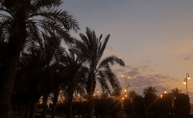 حديقة النهضة الرياض