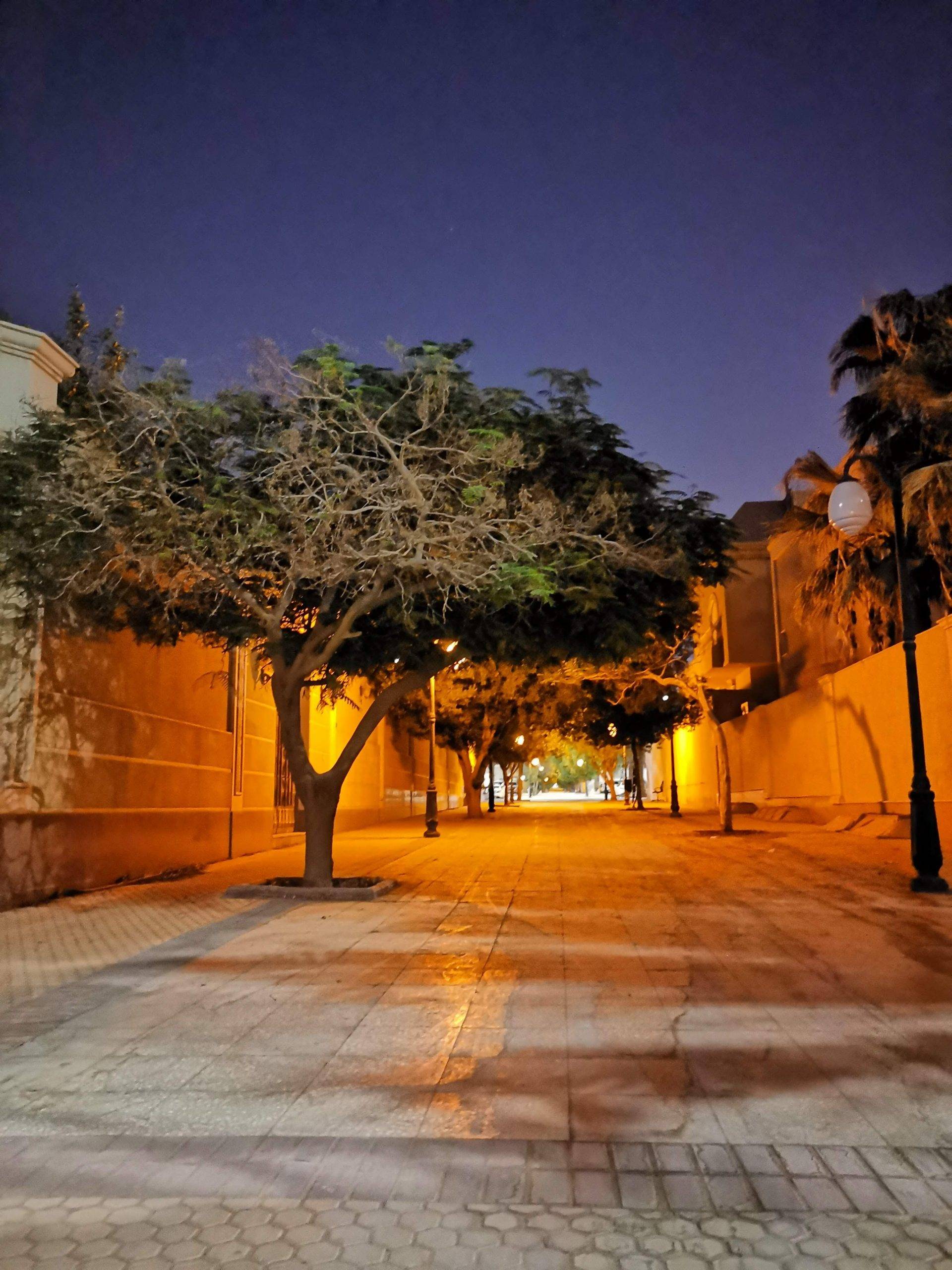حديقة الواحة الرياض