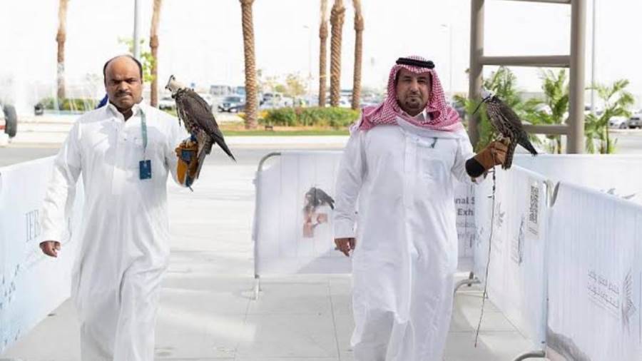 فعاليات معرض الصقور والصيد السعودي 2023