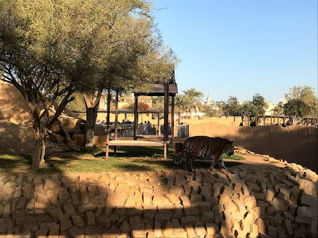 حديقة حيوانات الرياض