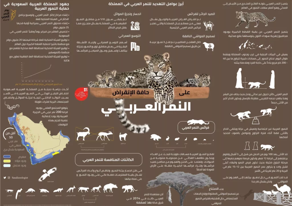 Information about Arabian Leopard